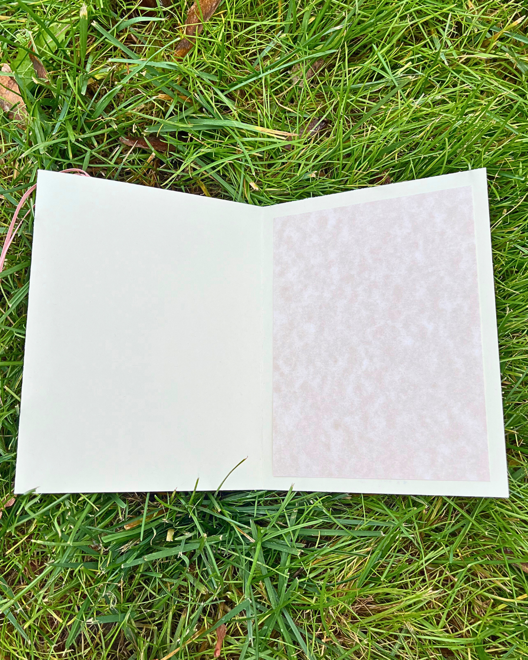 Library Dreams Greeting Card