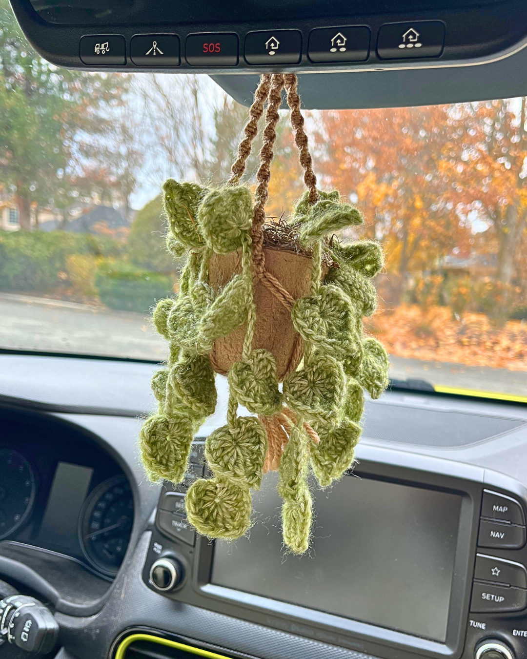 Tale & Tendril Hanging