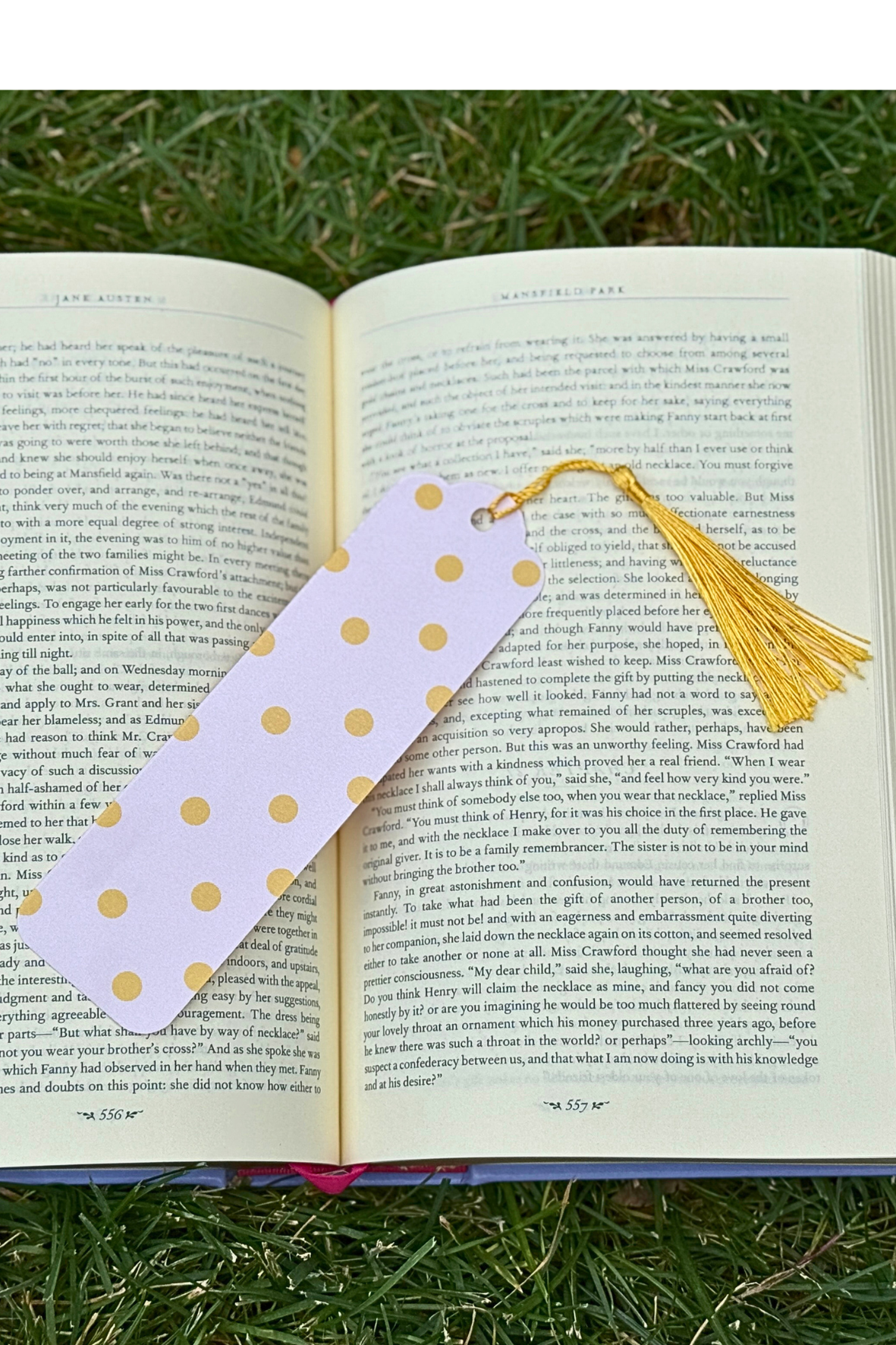 Booktrovert Bookmark