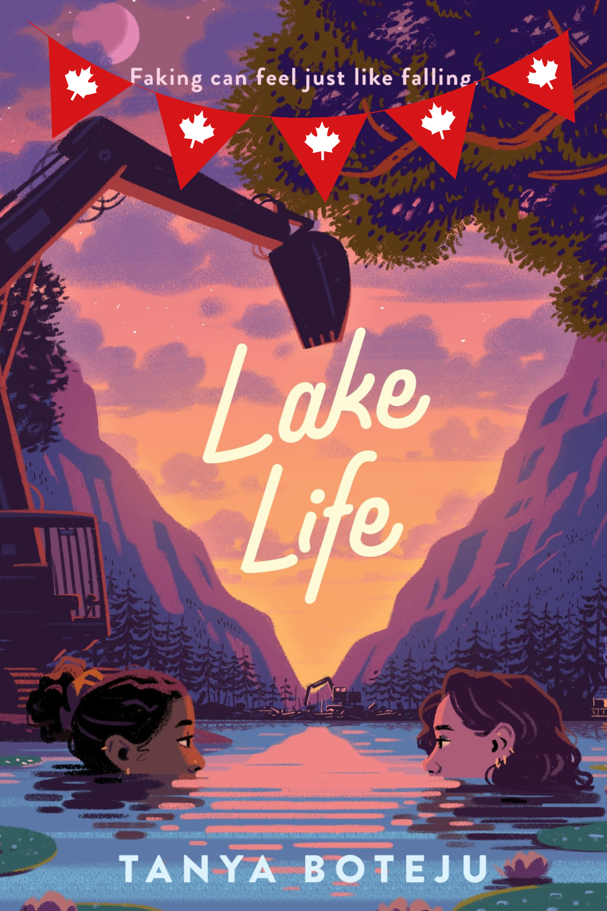 Lake Life (Hardcover)